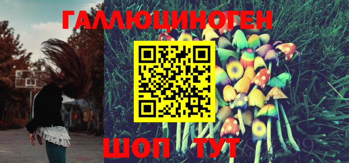 Галлюциногенные грибы MAGIC MUSHROOMS Кинешма