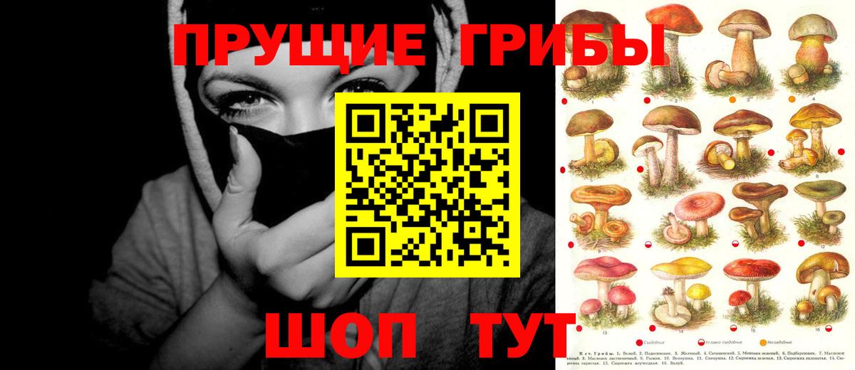 Псилоцибиновые грибы Psilocybine cubensis  Вход с VPN  Кинешма 